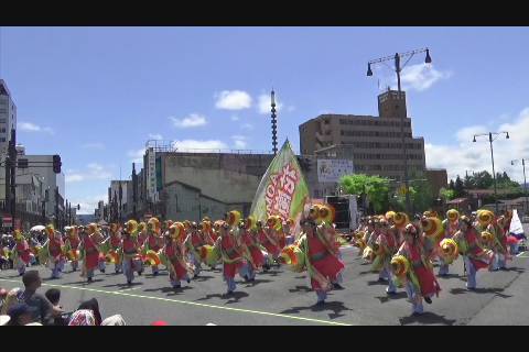 第回 よさこい津軽 Aomori花嵐桜組 アップルストリーム