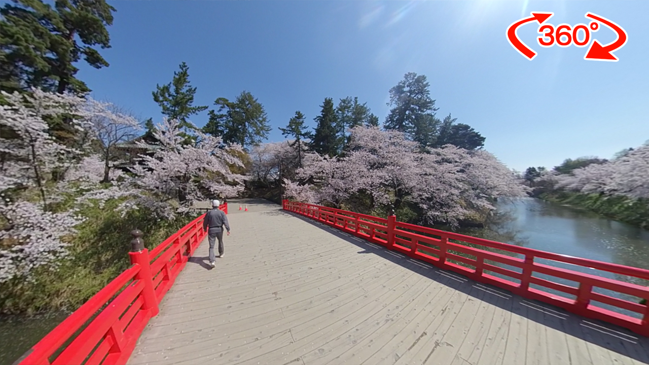 360度動画 弘前公園の桜21 4月22日号 アップルストリーム